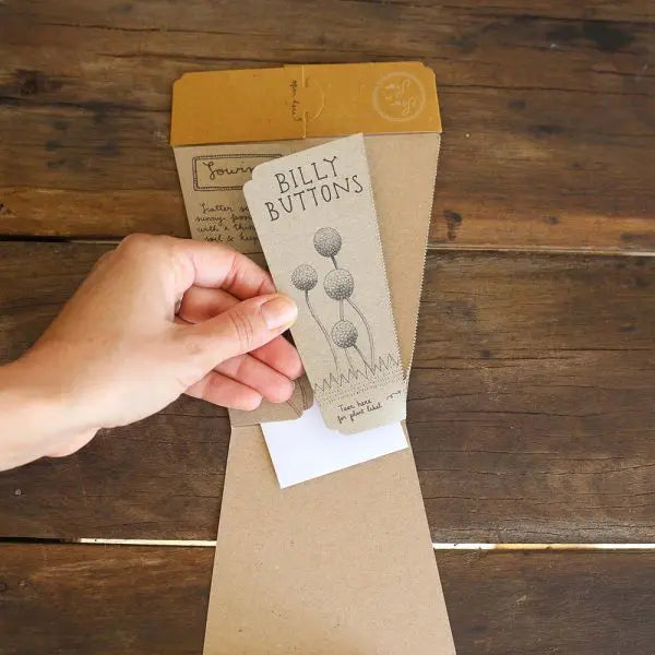 Billy Buttons Gift Of Seeds