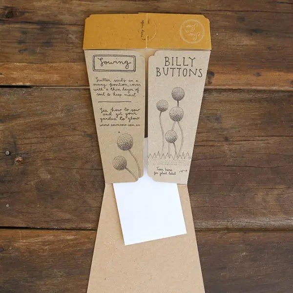 Billy Buttons Gift Of Seeds