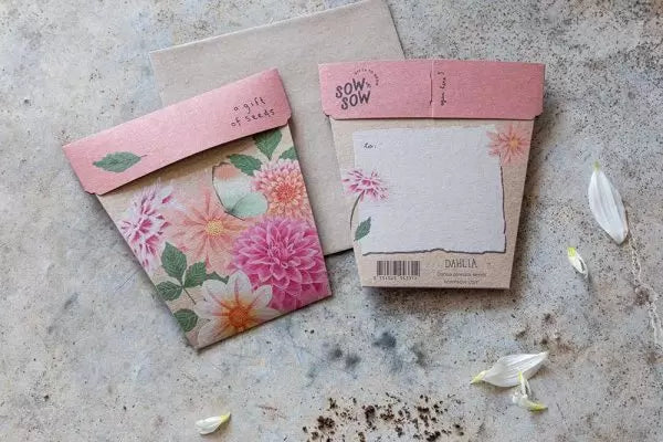 Dahlia Gift Of Seeds