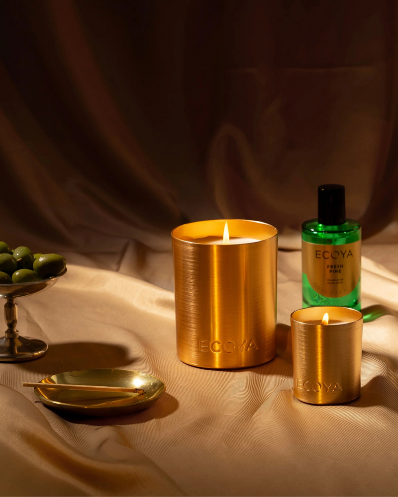 Limited edition Ecoya Fresh Pine Mini Goldie Candle boxed for Christmas gifting