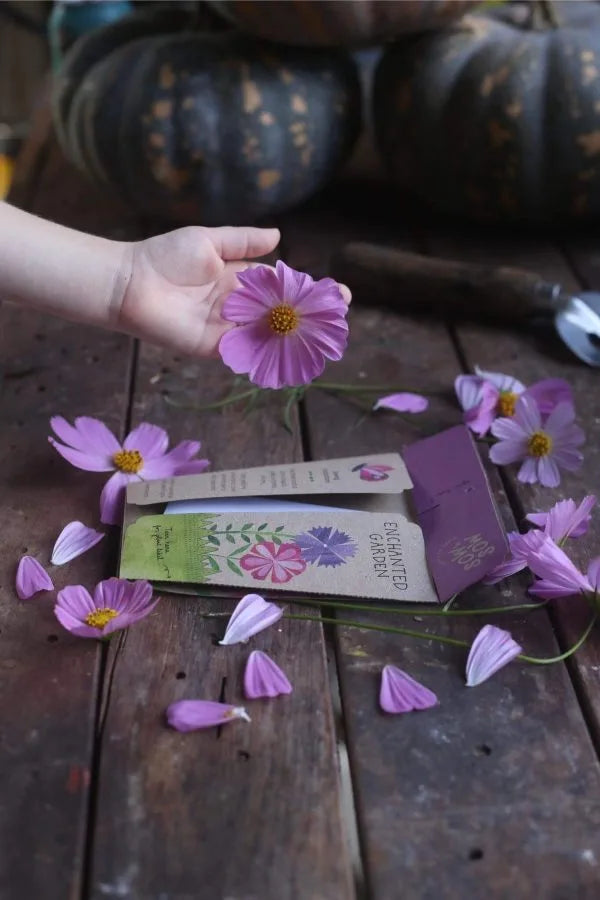 Enchanted Garden Gift Of Seeds