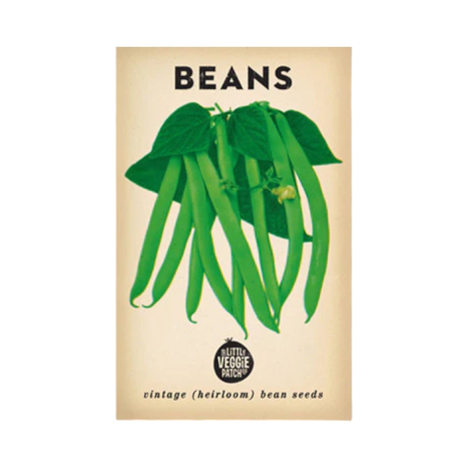 Bean 'Windsor Long Pod' Heirloom Seeds