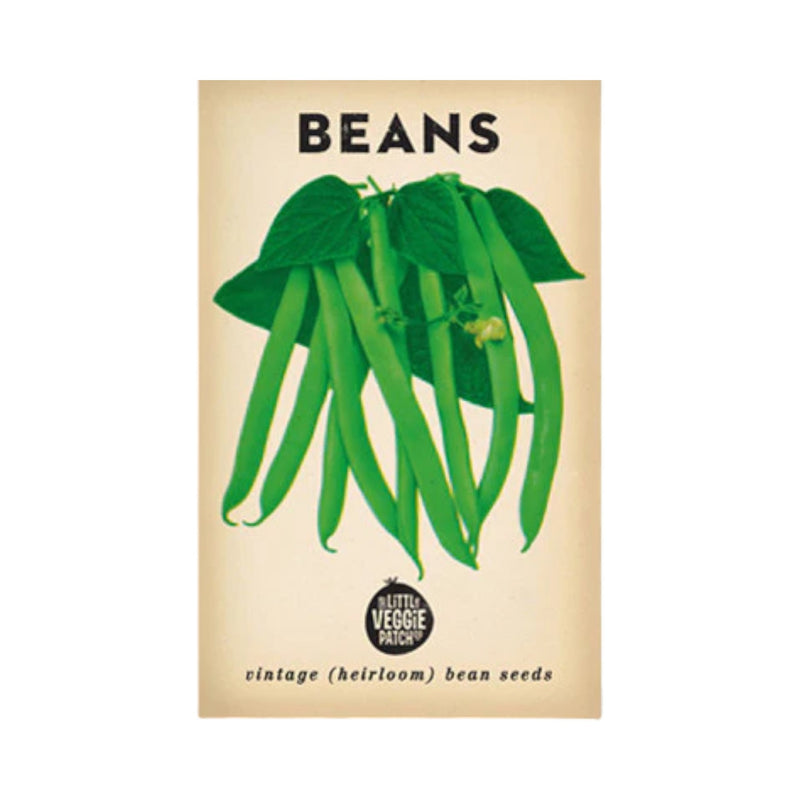 Bean 'Windsor Long Pod' Heirloom Seeds