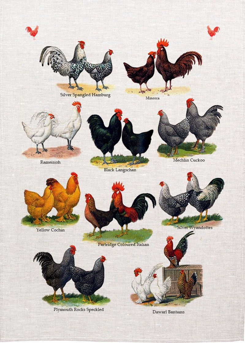 Chicken Breeds