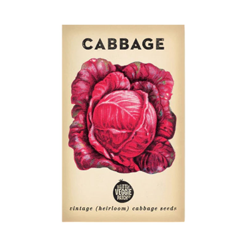 Cabbage Savoy Purple Seeds by Little Veggie Patch Co