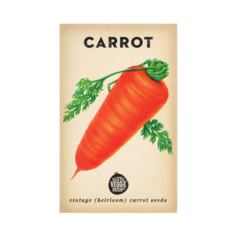 Carrot Baby Amsterdam Seeds by Little Veggie Patch Co
