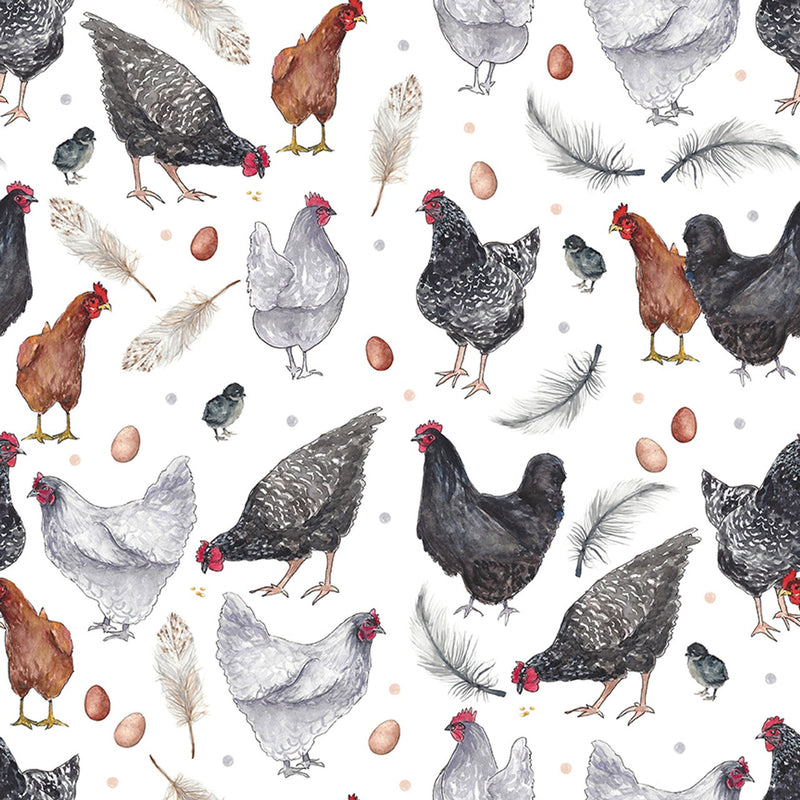 Chicken Eggs Feathers