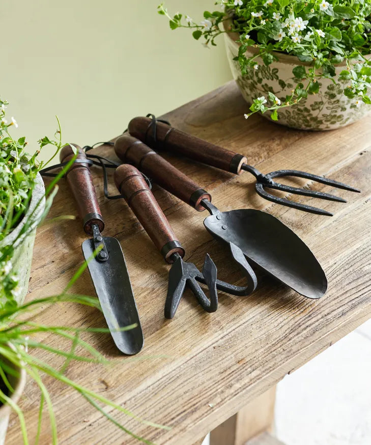Garden Transplanter Wooden Handle