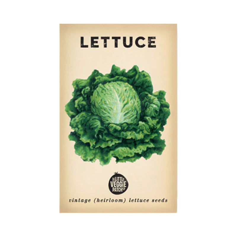 Lettuce Seeds by Little Veggie Patch Co