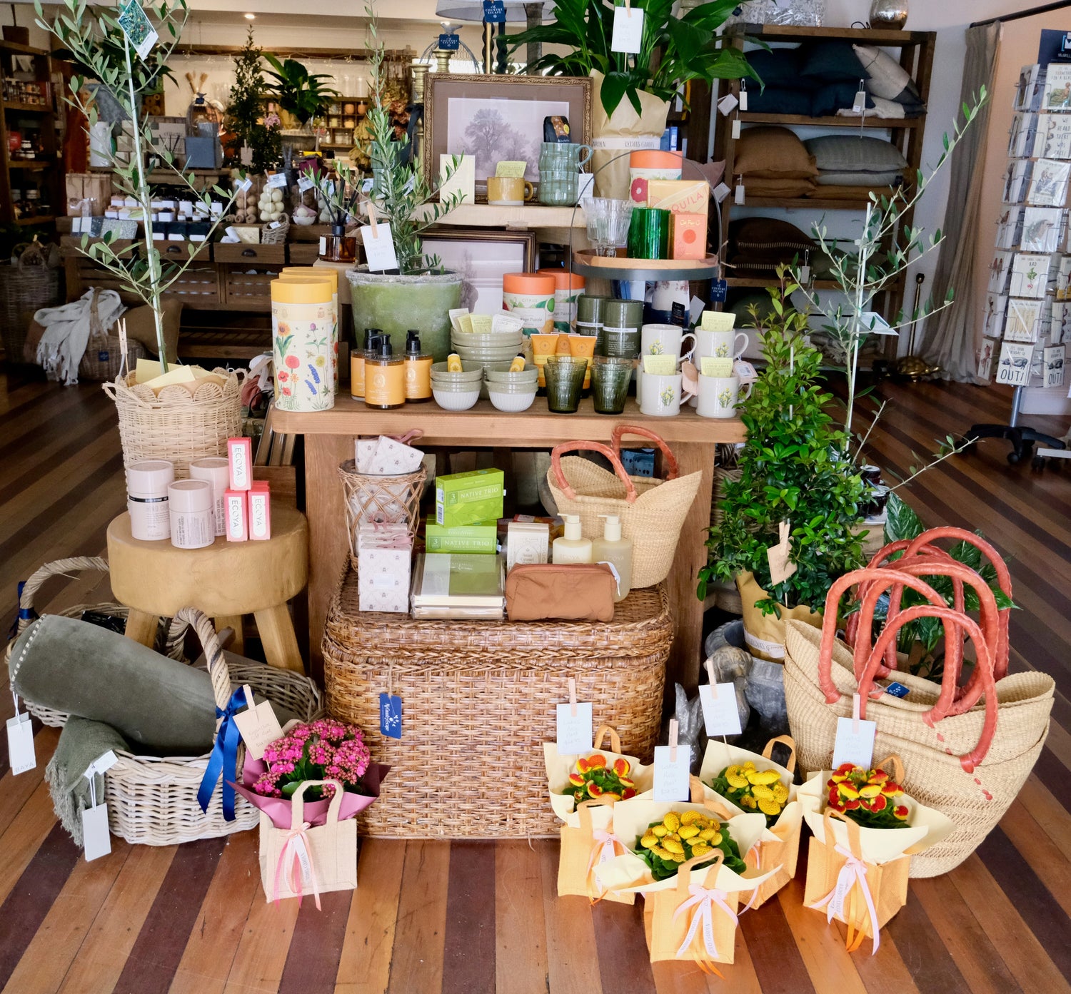 Gifts & Gift Ideas