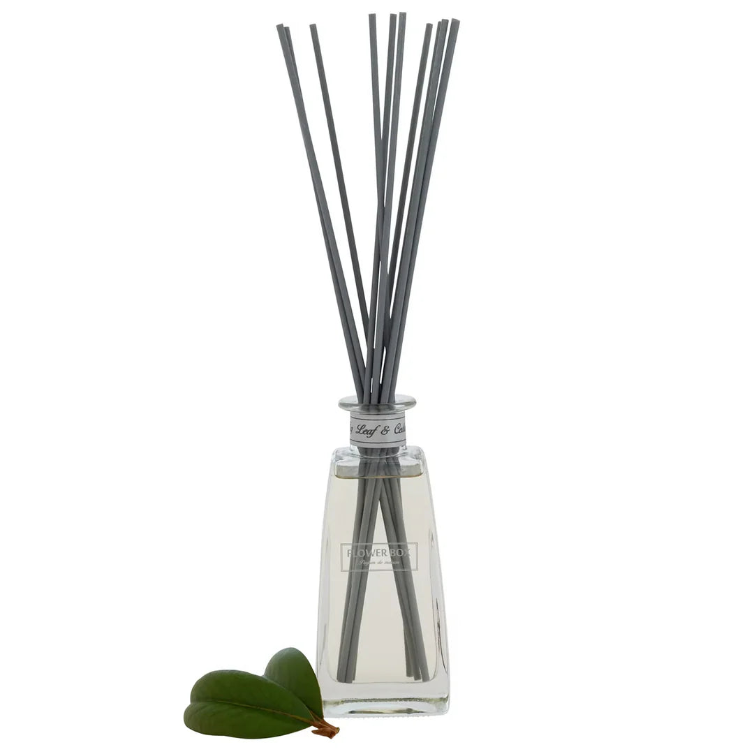 Fig Leaf & Cedar - Standard Diffuser