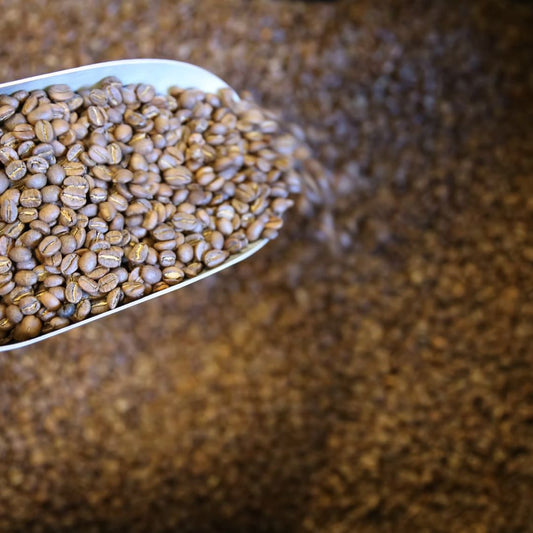 Mountain Blend Coffee - Whole Beans 250g