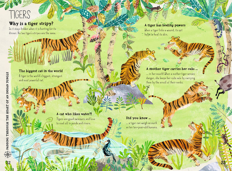 The Big Book of Beasts