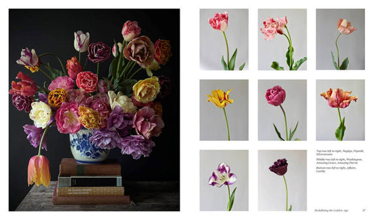 Bouquet of flowers in a vase with close-up images of individual flowers on a gray background.