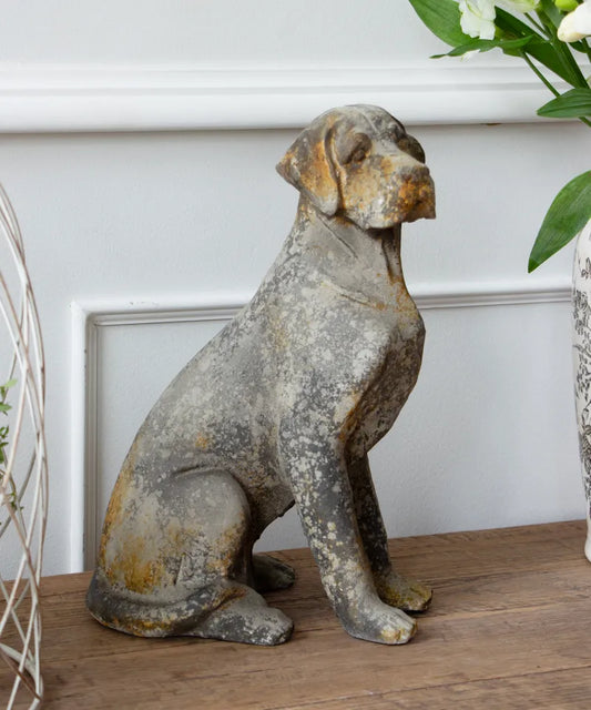 Decorative stone dog statue on a wooden surface with a white wall and plant in the background