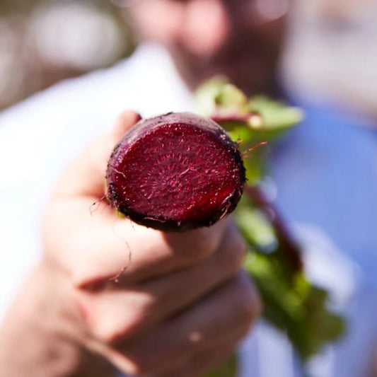 beetroot seeds vegetable garden