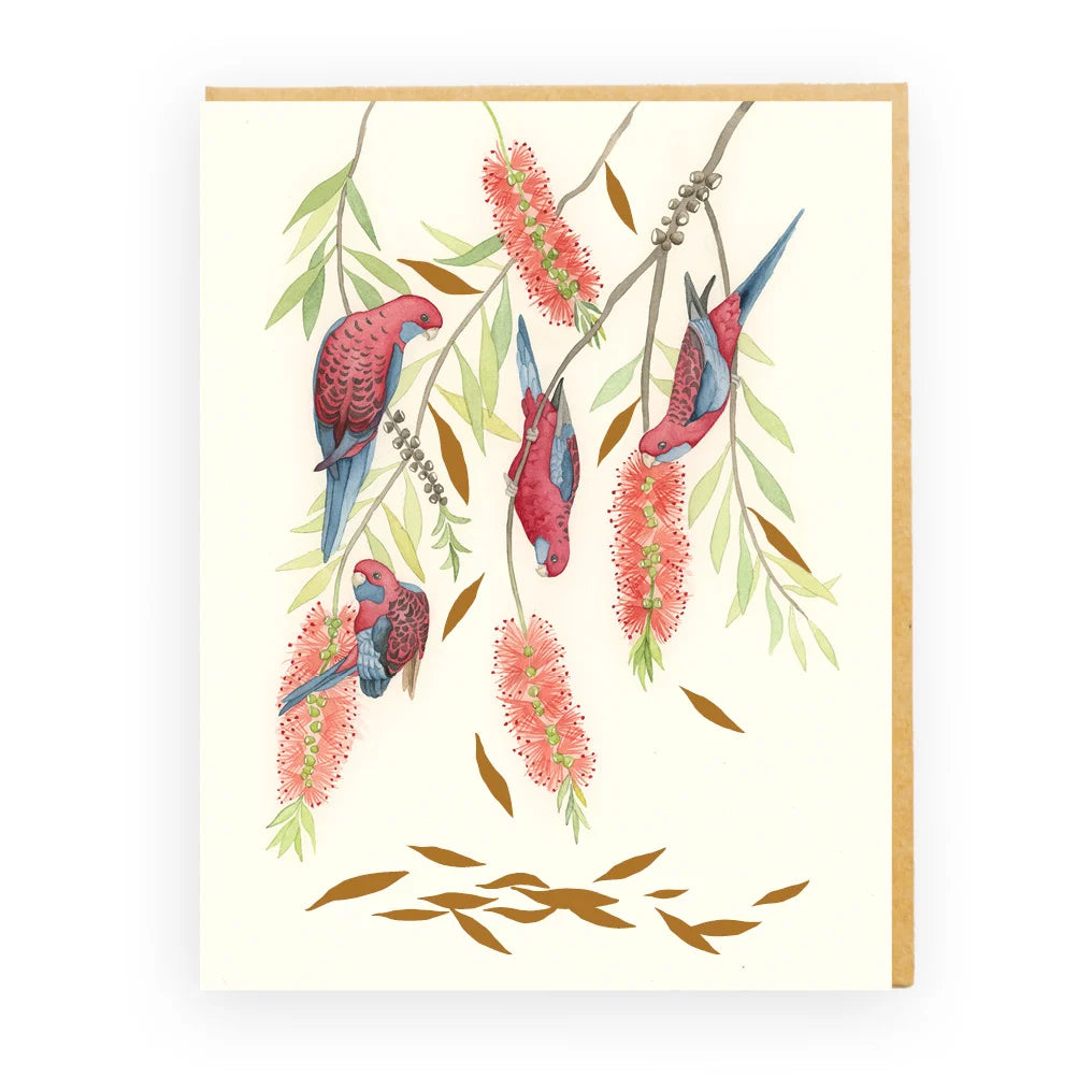 Bella Rosella card featuring colourful rosellas and native bottlebrush
