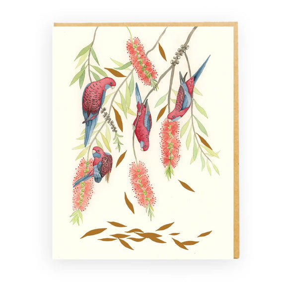Bella Rosella card featuring colourful rosellas and native bottlebrush