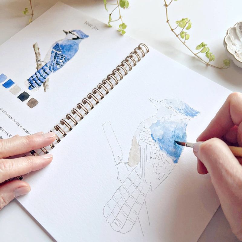 Person coloring a blue bird illustration in a sketchbook with watercolor techniques.