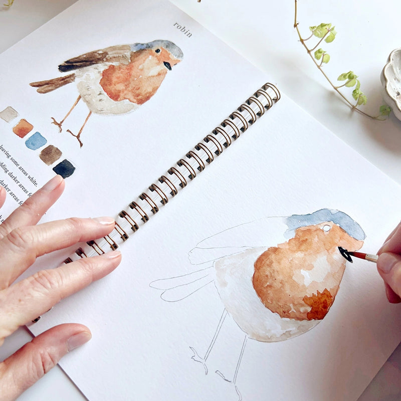 Person painting a robin illustration in a sketchbook with a reference page open.