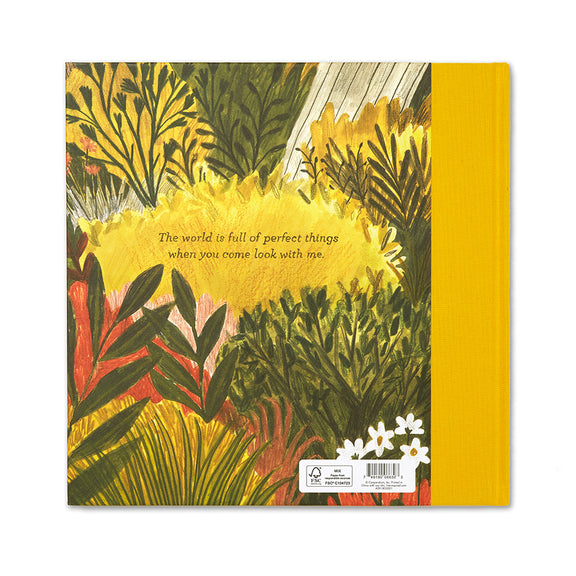 Tiny Perfect Things children's book about curiosity and everyday discoveries