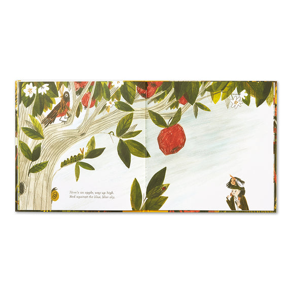 Illustrated children's book Tiny Perfect Things hardcover edition