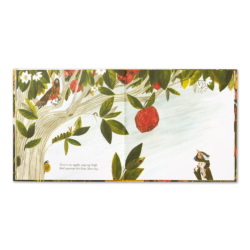 Illustrated children's book Tiny Perfect Things hardcover edition
