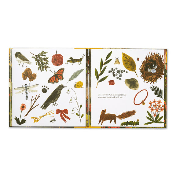 Tiny Perfect Things children's keepsake book with detailed illustrations