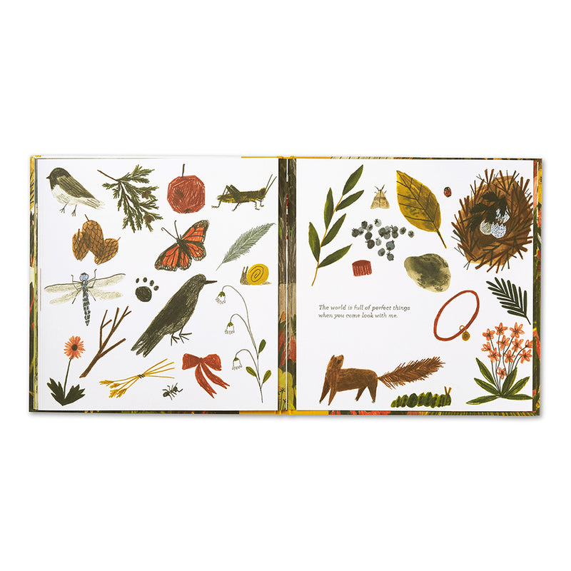 Tiny Perfect Things children's keepsake book with detailed illustrations
