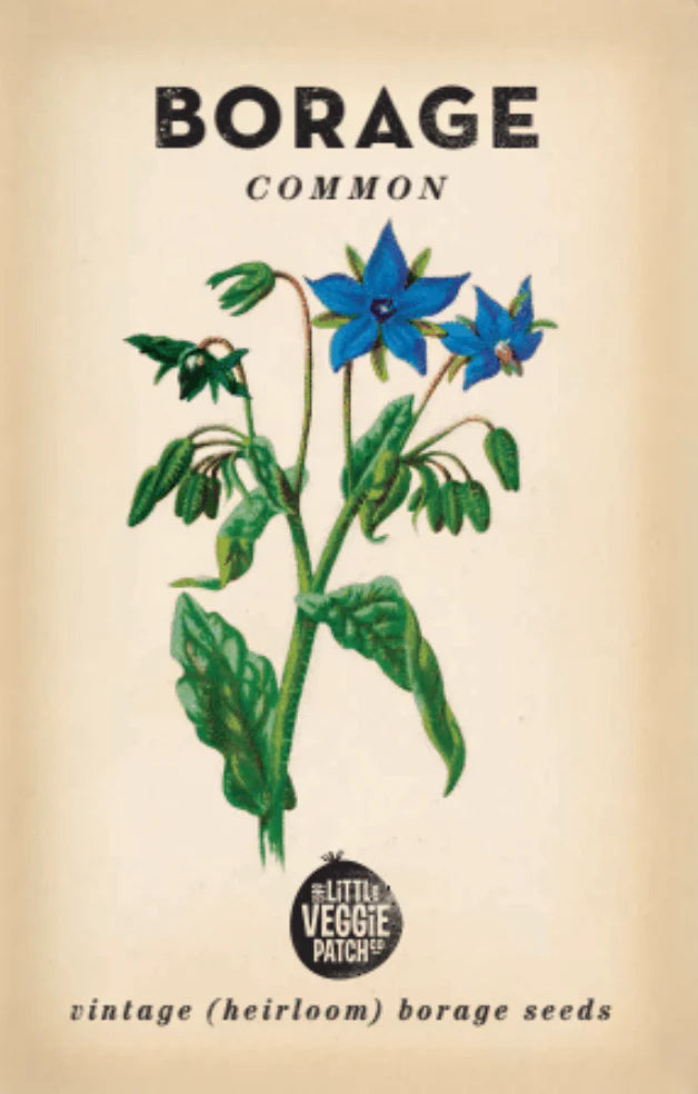 Borage seeds