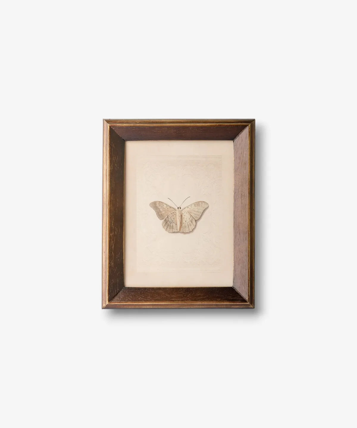Framed butterfly study wall art featuring a vintage-style butterfly illustration with rich natural tones.