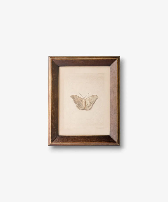 Framed butterfly study wall art featuring a vintage-style butterfly illustration with rich natural tones.
