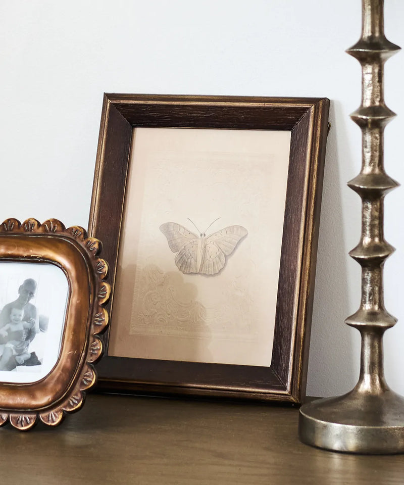 Vintage butterfly artwork in a firwood frame with glass front for gallery wall and home décor styling.