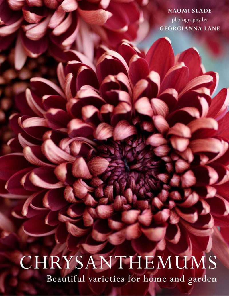 Chrysanthemums book Naomi Slade Australia
