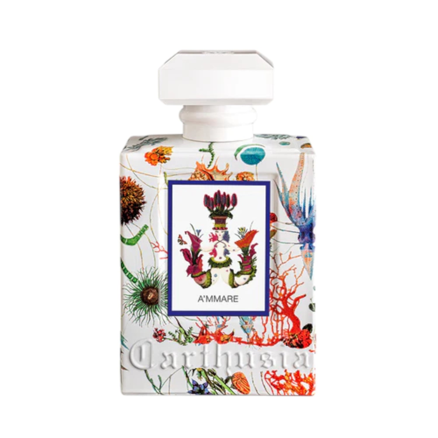 A'mmare EDP 100ml