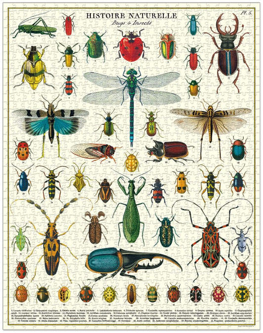 Vintage entomology jigsaw puzzle by Cavallini in storage tube