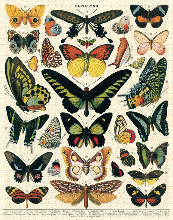 Colourful butterfly themed puzzle with poster guide
