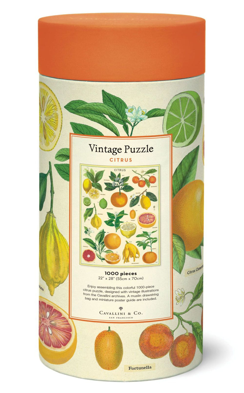 Citrus 1000 Piece Puzzle by Cavallini & Co. featuring vintage botanical citrus illustrations.