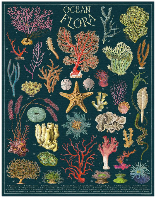 1000-piece ocean-themed puzzle with coral, starfish and vintage marine artwork.