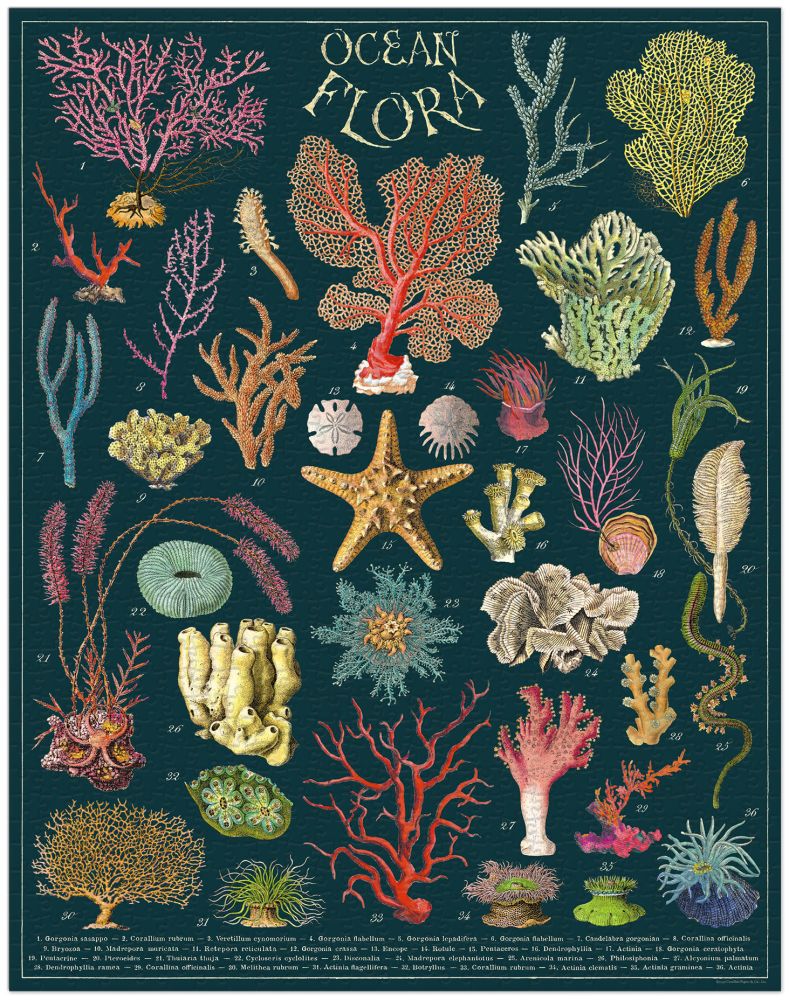 1000-piece ocean-themed puzzle with coral, starfish and vintage marine artwork.