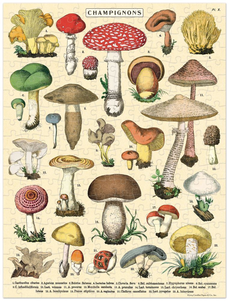 Cavallini & Co. Mushrooms mini jigsaw puzzle in a signature keepsake tube.