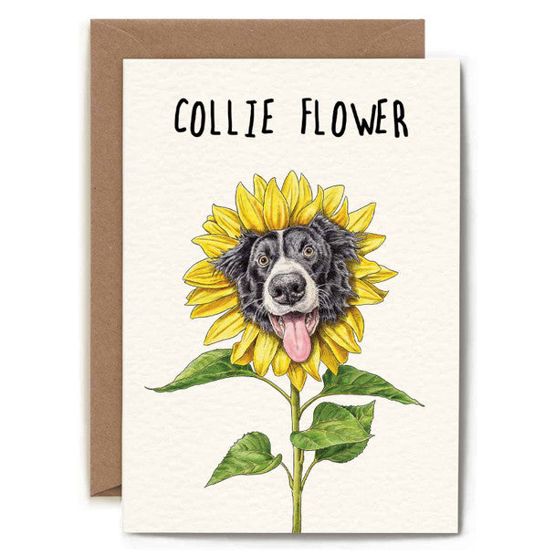 Collie Flower Card – funny Border Collie in sunflower illustration