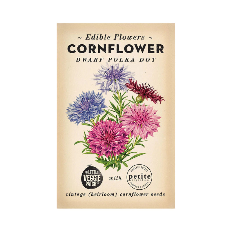 Cornflower 'Polka Dot' Heirloom Seeds