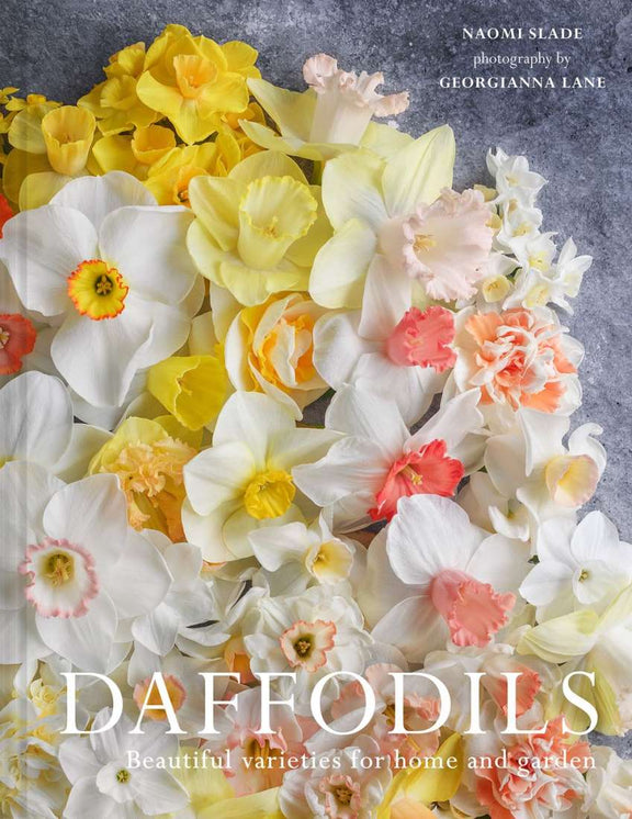 Daffodils hardback book by Georgianna Lane and Naomi Slade