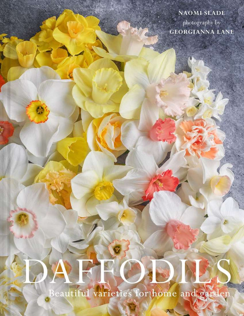 Daffodils hardback book by Georgianna Lane and Naomi Slade