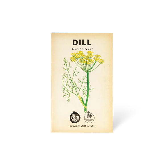 Organic Dill herb seeds for vegetable gardens, herb gardens and pots.