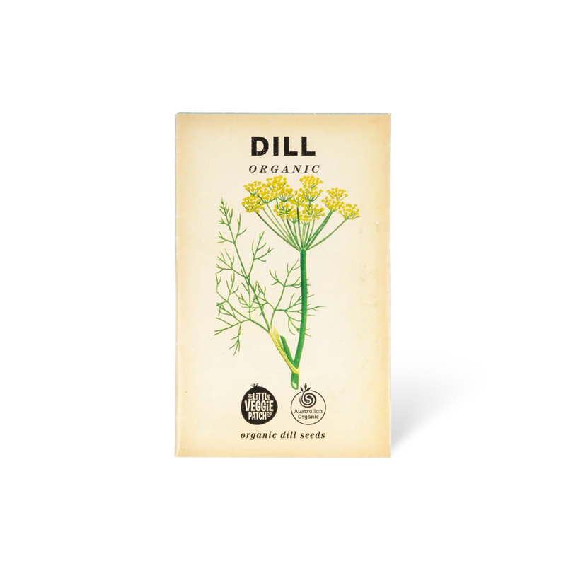Organic Dill herb seeds for vegetable gardens, herb gardens and pots.