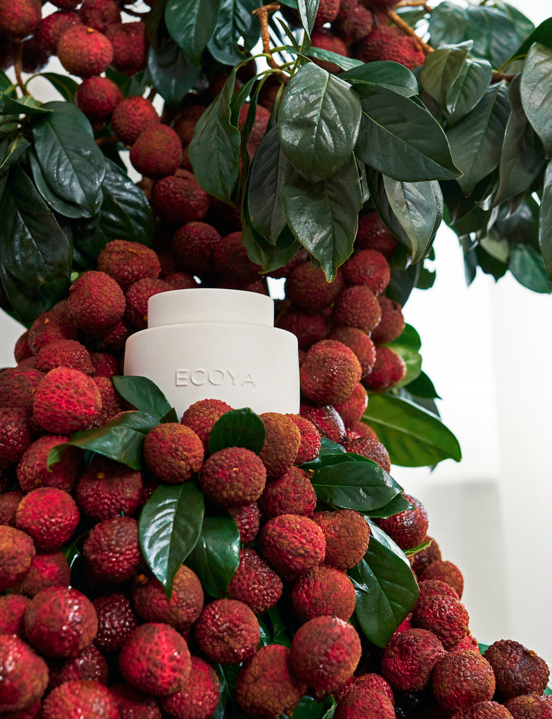 Ecoya electric wax burner surrounded by Lychees