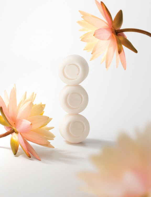 Lotus Flower Wax Melts by Ecoya