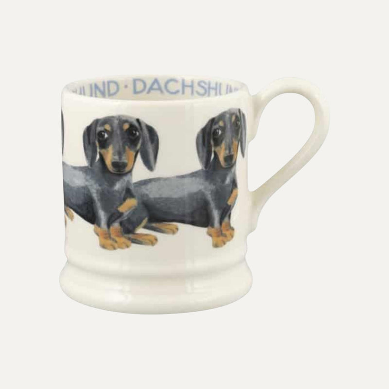 Dogs Black & Tan Dachshund